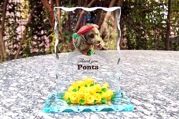 YOB082  FLミニ楯 スクエア クリア カラー加工ペット位牌