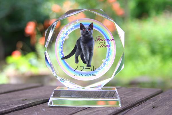 YRI008　メモリアルワイドスタンド　カラー加工ペット位牌