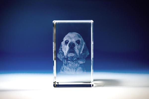 YOB026L 　キューブ/スクエア