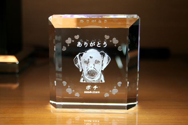 YOB008 　フォトフレーム　180度3D加工ペット位牌