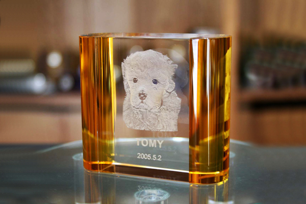 YOB009GD サイドカラー ゴールド