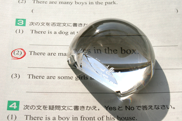 YDE016 ルーペ 2カット