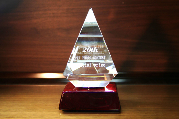 YTR053 トロフィー ピアノウッド 34フォルム